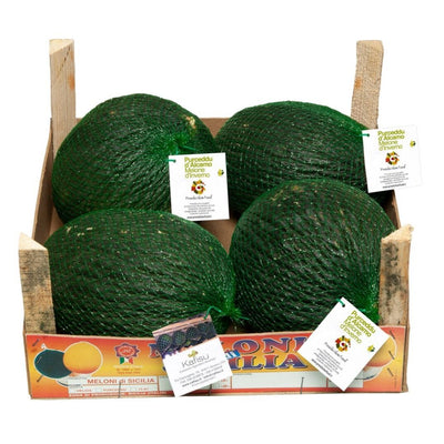 Melone Purceddu di Alcamo Presidio Slow Food - 4 Meloni in Cassetta da 14 kg