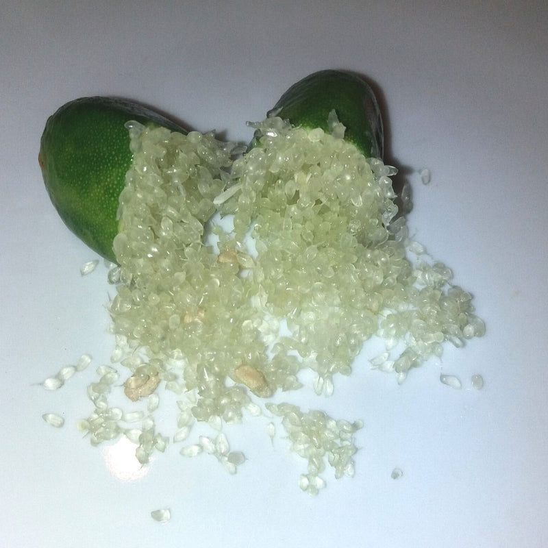 Finger Lime Bianco Coltivato in Sicilia - Scatola da 100 g