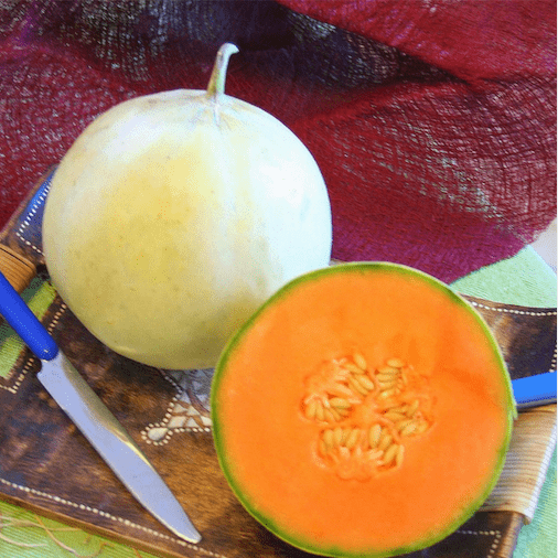 Melone Liscio Varietà Nuvoletta - Cassetta in Cartone da 5,5/6 kg circa